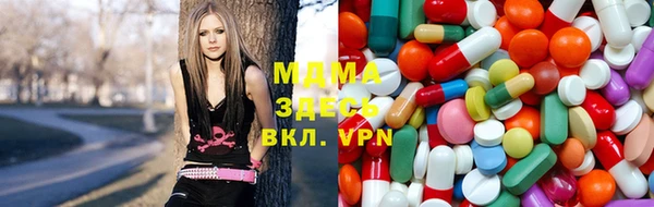 шишки Гусиноозёрск