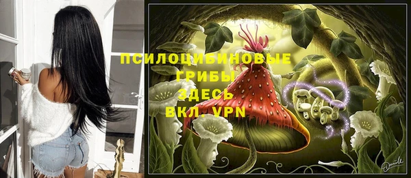соль ск Гусь-Хрустальный