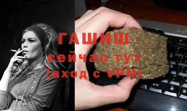 шишки Гусиноозёрск