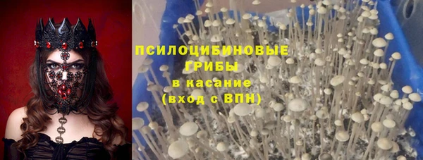 a pvp Гусев