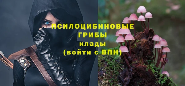 шишки Гусиноозёрск