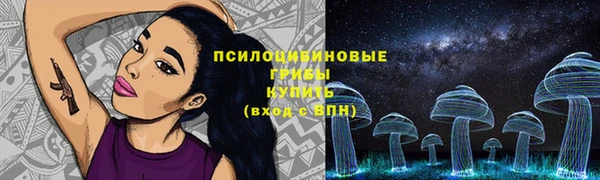 шишки Гусиноозёрск