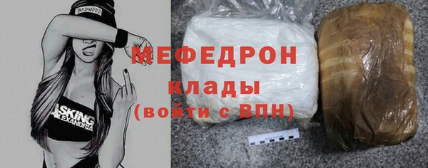 шишки Гусиноозёрск