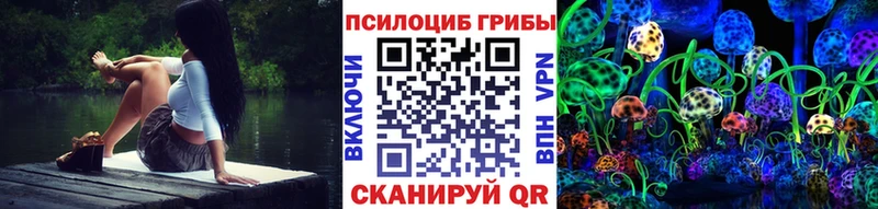 купить наркотик  Трубчевск  площадка наркотические препараты  Галлюциногенные грибы прущие грибы  blacksprut ССЫЛКА 
